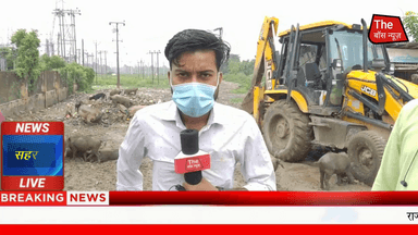 स्वच्छ भारत मिशन सूअरों के हवाले जनता आग बबूला | सरफराज आलम की ग्राउंड रिपोर्ट