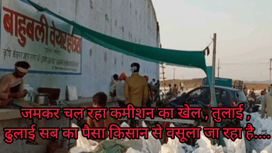 MP में किसानो की गेहूं खरीदी में जमकर चल रही कमीशनखोरी,अधिक तौल,व्यापारी भृतुआ का पहले तुलता माल