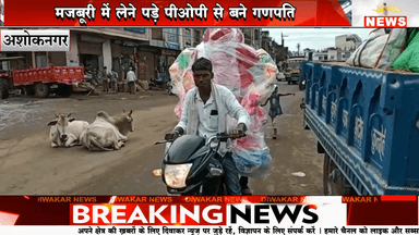 ×अशोकनगर। मजबूरी में लेने पड़े पीओपी से बने गणपति