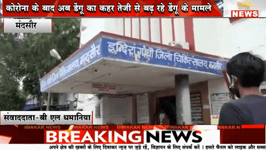 ×मंदसौर। कोरोना के बाद अब डेंगू का कहर,तेजी से बढ़ रहे डेंगू के मामले