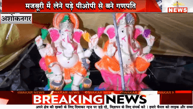 ×अशोकनगर। मजबूरी में लेने पड़े पीओपी से बने गणपति