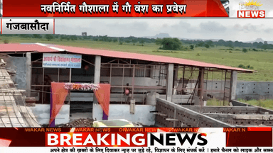 गंजबासौदा। गौ पूजन के साथ आचार्य श्री विद्यासागर गौशाला में कराया गौवंश का मंगल प्रवेश।