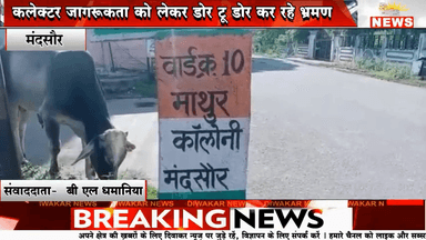 मंदसौर। जिले में डेंगू के बढ़ते मामलों से जनता त्रस्त