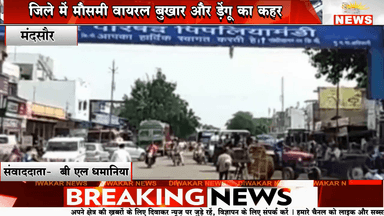 मंदसौर। जिले में मौसमी वायरल बुखार और ड़ेंगू का कहर