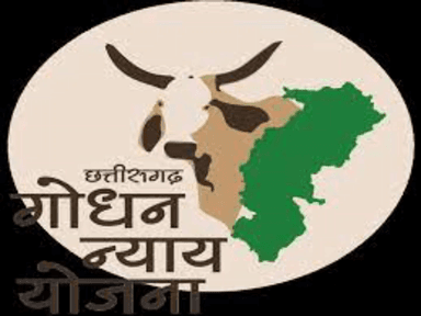 बिलासपुर जिले के ग्रामीण महिलाएं गोठानो के जरिये पेश  कर रही  सशक्तीकरण की अनूठी मिसाल बन रही स्वावलंबी,127 गोठानों में गोबर से उत्पाद बनाकर कमाए दो करोड़ 72 लाख रुपये