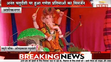 अशोकनगर। अनंत चतुर्दशी पर हुआ गणेश प्रतिमाओं का विसर्जन