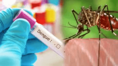 राजधानी रायपुर में डेंगू का कहर डेंगू के 400 से ज़्यादा मरीज़ आये सामने डेंगू का कहर रायपुर मेडिकल कॉलेज के PG हॉस्टल में भी हमला कर दिया है.   
www.chhattisgarhnewsdhamaka.com