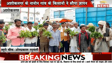 अशोकनगर-अतिवृष्टि से नष्ट फसलों को लेकर कलेक्ट्रेट पहुंचे किसान कलेक्टर को आवेदन सौंपकर की फसल सर्वे की मांग