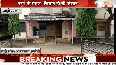 अशोकनगर। कृषि उपज मंडी की व्यवस्थाएं चौपट, गड्ढों में भरा पानी