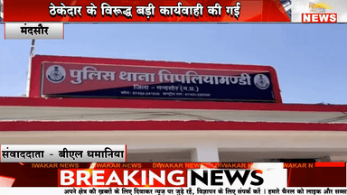 मंदसौर - देशी शराब के ठेके पर अवैध अंग्रेजी शराब की बिक्री