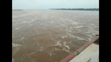 बिहार में गंगा, गंडक व कोसी नदी खतरे के निशान से ऊपर बह रही हैं: केंद्रीय जल आयोग पटना के निदेशक #गंगा_नदी