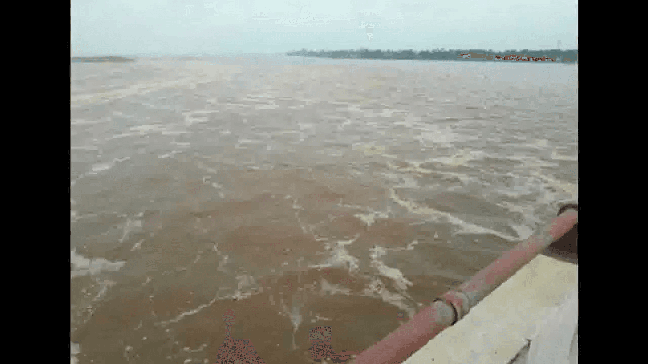बिहार में गंगा, गंडक व कोसी नदी खतरे के निशान से ऊपर बह रही हैं: केंद्रीय जल आयोग पटना के निदेशक #गंगा_नदी