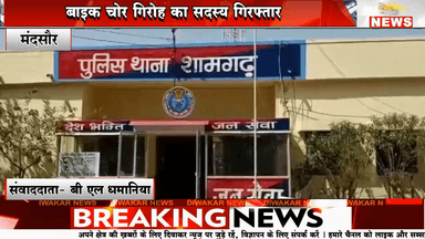 मंदसौर - पुलिस को मिली बड़ी सफलता बाइक चोर गिरोह का सदस्य गिरफ्तार