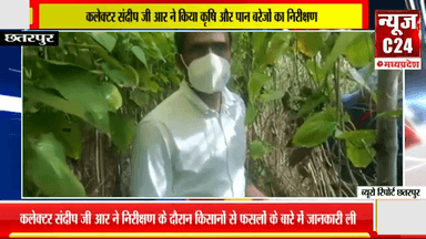 कलेक्टर संदीप जी आर ने किया कृषि और पान बरेजों का निरीक्षण !