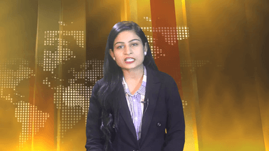 गुना: मनोहर थाना क्षेत्र में गुना व राजस्थान वन विभाग की टीम ने की संयुक्त कार्रवाई, ₹80 लाख की सागोन की सिल्लियां की जब्त