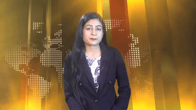 गुना: जिले में स्वच्छता अभियान के दावों की खुली पोल, पॉलीथिन खाने से हो रही गायों की मौत का आंकड़ा बढ़ा