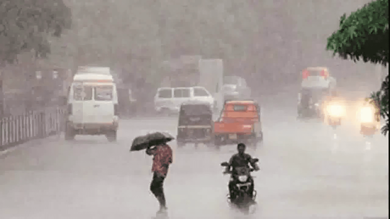यूपी के 50 ज़िलों में आज बारिश की संभावना को लेकर येलो अलर्ट जारी, वज्रपात की भी आशंका #बारिश_अलर्ट #येलो_अलर्ट