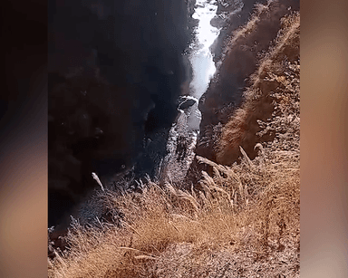सलूनी: सलूणी में सड़क किनारे उल्टी कर रही महिला चक्कर आने से स्यूल नदी में गिरी, हुई मौत