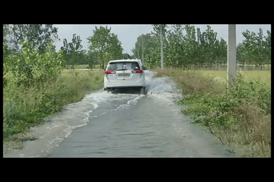 जिलाधिकारी शैलेन्द्र कुमार सिंह द्वारा बारिश के कारण धान फसल की खराबी/बाढ़ प्रभावित क्षेत्रों का निरीक्षण किया गया