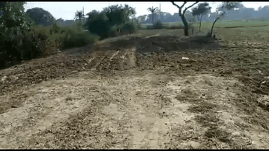 बांका में दबंगों ने रातोंरात कच्ची सड़क पर अतिक्रमण कर वहां बोया गेहूं, होगी जांच #गांव_सड़क #अतिक्रमण