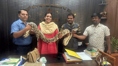 ಬೆಂಗಳೂರು ಪೂರ್ವ: ಅಂಜನಾಪುರದಲ್ಲಿ ಬೃಹತ್‌ ಗಾತ್ರದ ಹೆಬ್ಬಾವು ಪತ್ತೆ