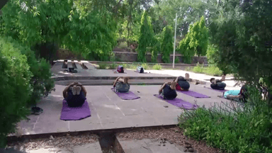 गुना नगर: बजरंगगढ़ किले पर 21 जून को होगा योग दिवस का कार्यक्रम,
कार्यक्रम में सहभागिता हेतु पोर्टल पर कराएं रजिस्ट्रेशन