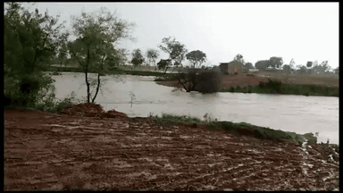 गुना नगर: ग्राम पड़रिया चक में कई परिवारों को शासकीय योजनाओं का नहीं मिल रहा लाभ, लोगों ने वीडियो जारी कर बताई अपनी समस्या