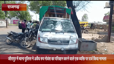 जीरापुर: पुलिस ने जीरापुर में गोवंश का अवैध परिवहन करने वाले एक व्यक्ति को गिरफ्तार कर दर्ज किया मामला, 6 गोवंशों को कराया मुक्त