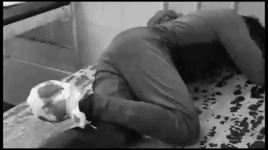 गुना नगर: कुशमौदा के निकट ट्रेन की चपेट में आने से युवक के पैर का पंजा कटा