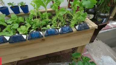 न तार का झंझट, ना बिजली का खर्च; मात्र ₹399 में खरीदें ये शानदार आउटडोर सोलर स्मार्ट लाइट