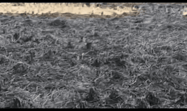 कैथल: कैथल में धान की फसल के अवशेष जलाने पर 9 किसानों पर केस दर्ज करवाया गया, कृषि विभाग के अधिकारियों ने जानकारी दी