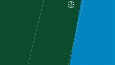 आईये जानते हैं वर्टिकल फार्मिंग के बारे में।  #BayerIndia #VerticalFarming #KisanMitra