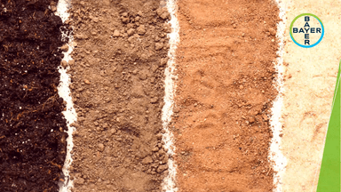 चुनौतीपूर्ण जलवायु और कृषि उत्पादकता को बढ़ावा देने वाली शुष्क भूमि पर खेती को जाने और आप भी इसका लाभ उठाए। #KisanMitra