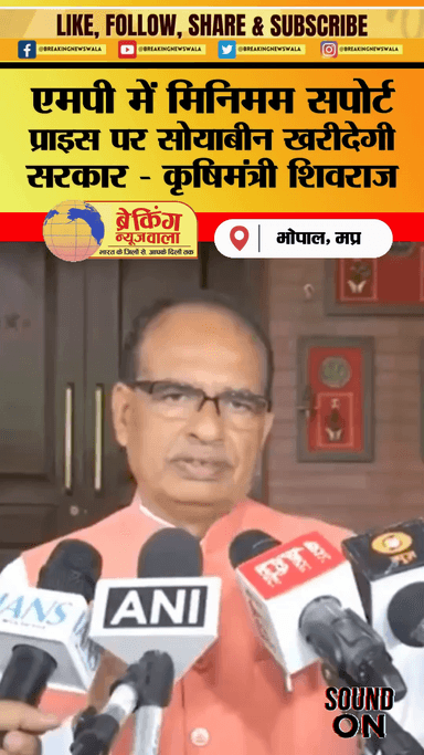 सोयाबीन खरीदी को लेकर कृषिमंत्री का बड़ा बयान
.
.
.
#Gwaliorbreaking #GwaliorNews #GwaliorBreakingNewsWala #MpNews #bnwtv