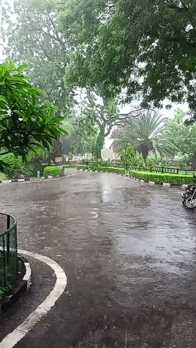 जोधपुर में तेज गति के साथ बारिश शुरू