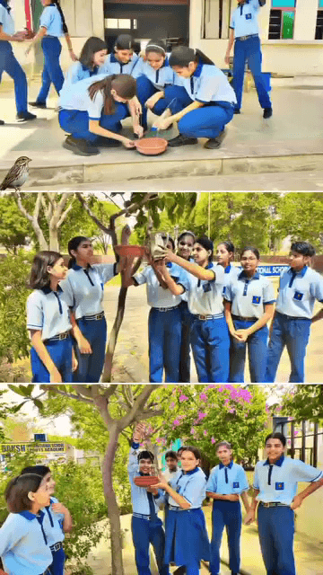 दक्ष इंटरनेशनल स्कूल के बच्चों द्वारा बेजुबान पक्षियों को गर्मी से बचाने के लिए मिट्टी के सकोरे लगाकर पानी की व्यवस्था की गई. #savebirdslife #savesparrows #savelives #birdlife
#birdslover #savelives