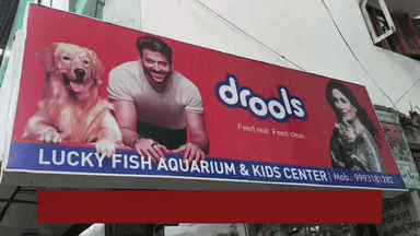 सईद उद्दीन 
लकी फिश एक्वेरियम & बाइसिकल स्टूडियो बीना