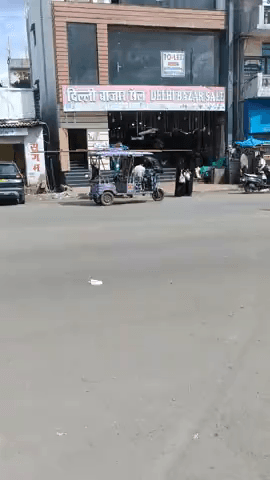 लकी iफेस एक्वेरियम और साइकिल स्टूडियो लिंक रोड केनरा बैंक के सामने बीना