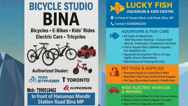 लकी फिश एक्वेरियम & बाइसिकल स्टूडियो केनरा बैंक के सामने वाली गली लिंक रोड एवं स्टेशन रोड हनुमान मंदिर के सामने बीना