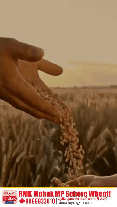 ✨ राजस्थानी परंपरा का असली स्वाद ✨ 
#NewGoldChai #BajajTea #RajasthaniTaste #DesiChai #RajasthanKaSwad #IndianTeaCulture #sardarshahar #Churu #ratangarh #sujangarh #bissau