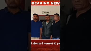 #newsalert #hindinews डूंगरपुर एसीबी टीम में खेरवाड़ा में वनरक्षको 80 हजार रिश्वत लेते दबोचा
