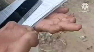 বাঁকুড়া ২: প্রতিবন্ধকতাকে উপেক্ষা করে ৯৯ শতাংশ SIR-র এর কাজ সম্পন্ন; ব্যতিক্রমী নজির বাঁকি গ্রামের BLO সোনালী করের