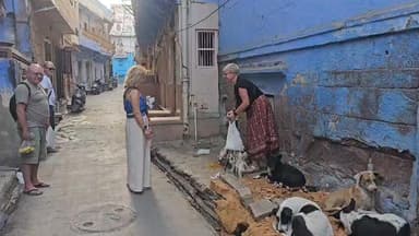 विदेशी पर्यटकों द्वारा श्वान से प्रेम ब्लू सिटी की गलियों में...
#jodhpur #jodhpurcity #rajasthan #hilights