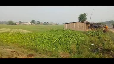 भरगामा : विद्युत उपकेंद्र निर्माण पर संकट गहराया, ग्रामीणों की चेतावनी के बाद हरकत में आया विभाग