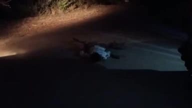 गुमला: मुरकुंडा नया बाजार के पास ट्रैक्टर से कुचलकर एक वृद्ध व्यक्ति की मौत