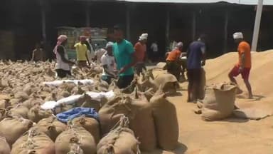 हरदा: भावांतर योजना में सोयाबीन का मॉडल रेट ₹4239 जारी, किसानों को होगा फायदा