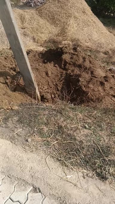 ग्राम पंचायत बरौही पोस्ट मझिगवां थाना व तहसील हनुमना जिला मऊगंज मध्य प्रदेश में दुर्गा मंदिर में लगे लाइट खंभा मुसलमानो