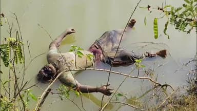 భూపాలపల్లి: జిల్లా కేంద్రంలోని జవహర్ నగర్ కాలనీ సమీపంలోని బోప్పగాని చెరువులో గుర్తుతెలియని మృతదేహం లభ్యం