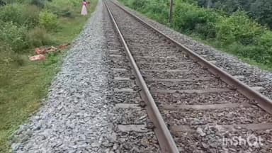 పూతలపట్టు: పూతలపట్టులో రైలు ఢీకొని 13 ఆవులు మృతి