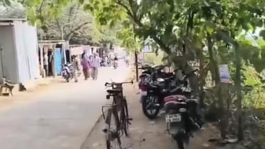 మైలవరంలో కకోతుల బెడద...బెంబేలెత్తిపోతున్న స్థానికులు